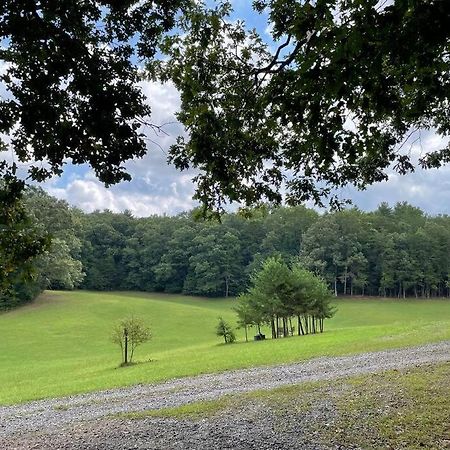 Private Cozy Cabin In The Woods With Great View ميرفي المظهر الخارجي الصورة