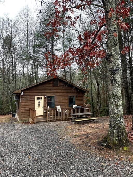 Private Cozy Cabin In The Woods With Great View ميرفي المظهر الخارجي الصورة