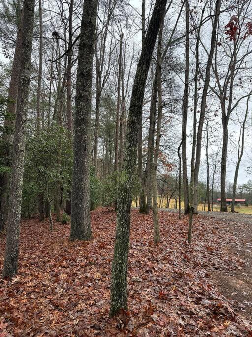 Private Cozy Cabin In The Woods With Great View ميرفي المظهر الخارجي الصورة
