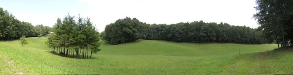 Private Cozy Cabin In The Woods With Great View ميرفي المظهر الخارجي الصورة